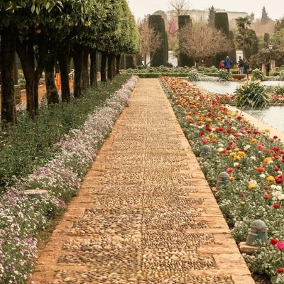 Garden Maintenance