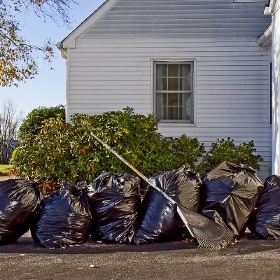 Yard Clean Up
